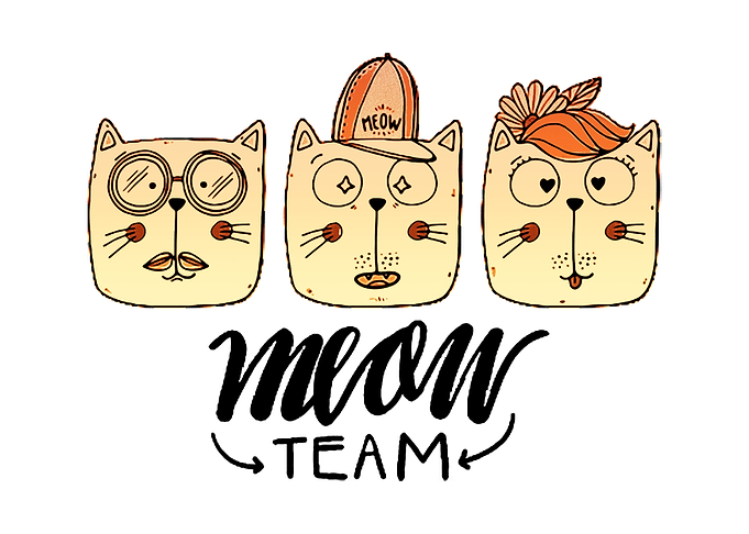 meow team