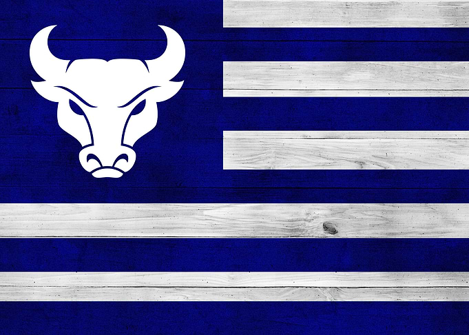 Buffalo Bulls Wood Flag