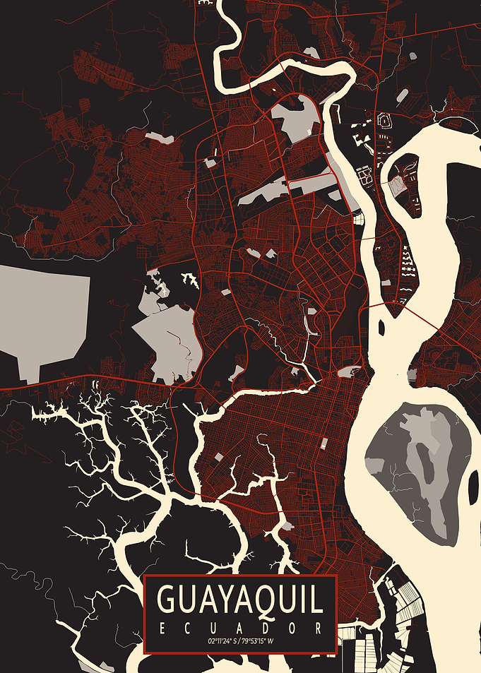 Guayaquil City Map Vector