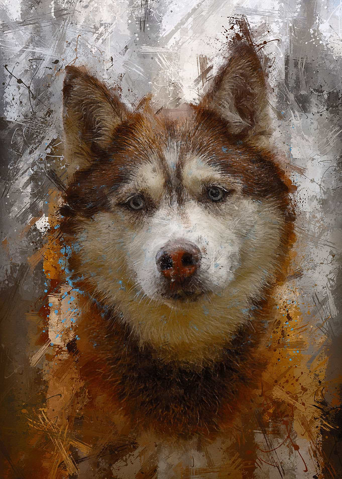 Siberian Husky Painting
