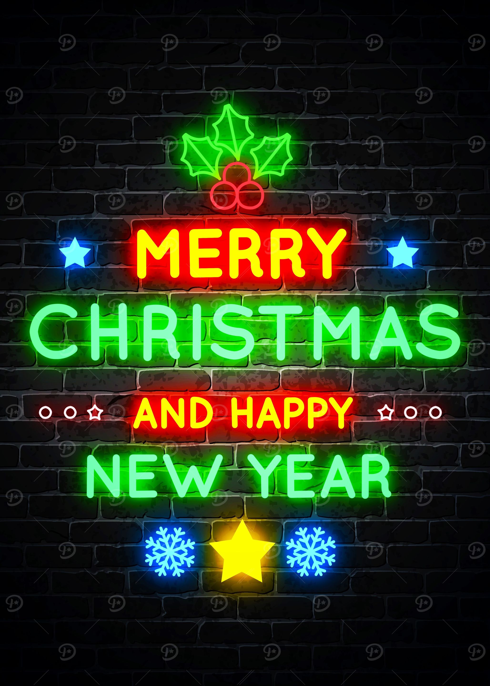 Merry Christmas Neon Li