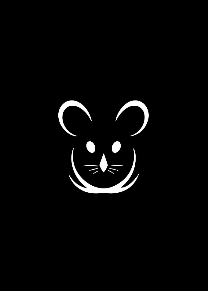 Mouse Stencil Design