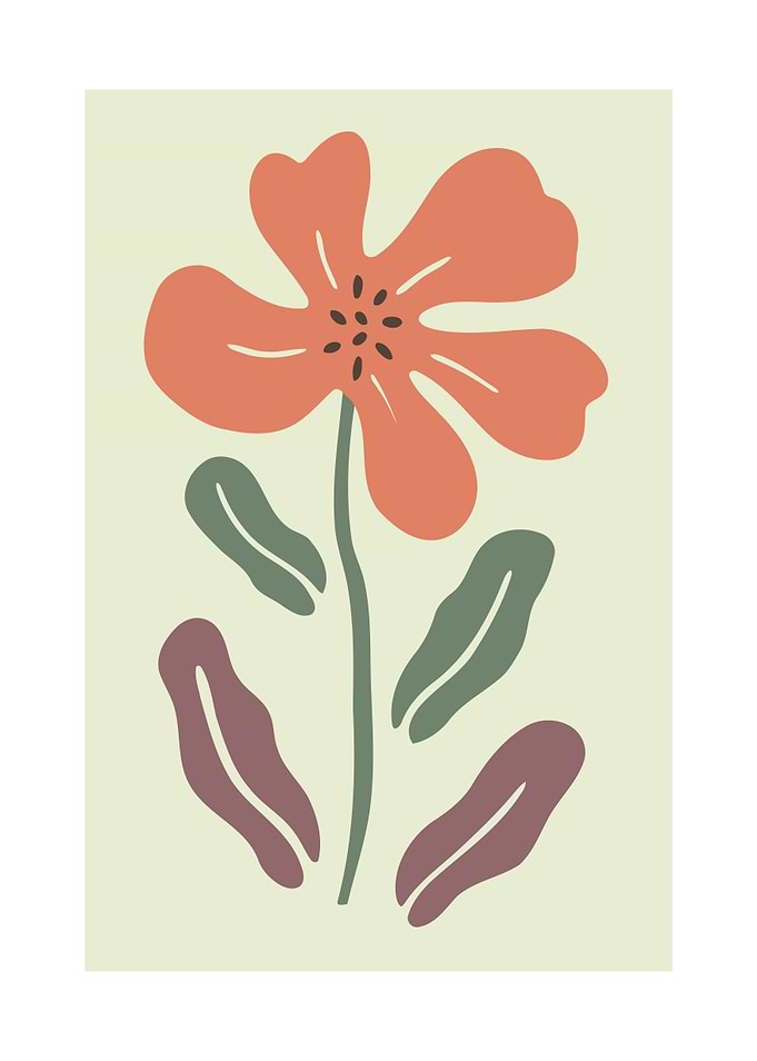 Flowers Illustration