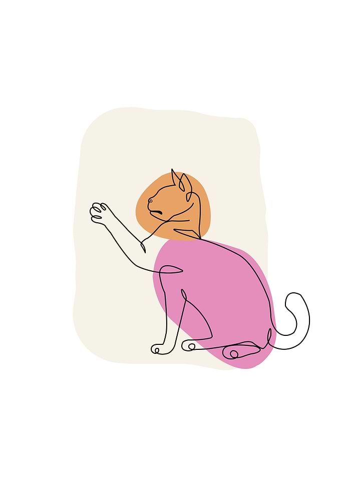 One line cat