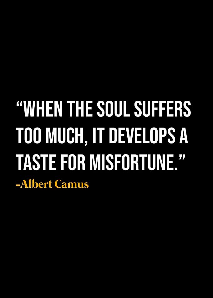 Albert Camus Quote