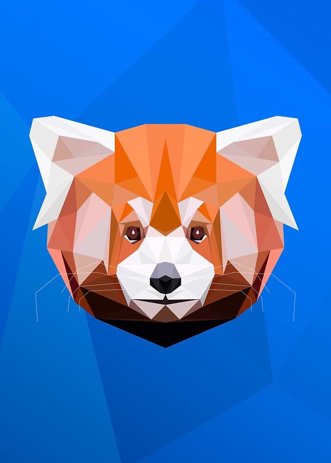 Red panda