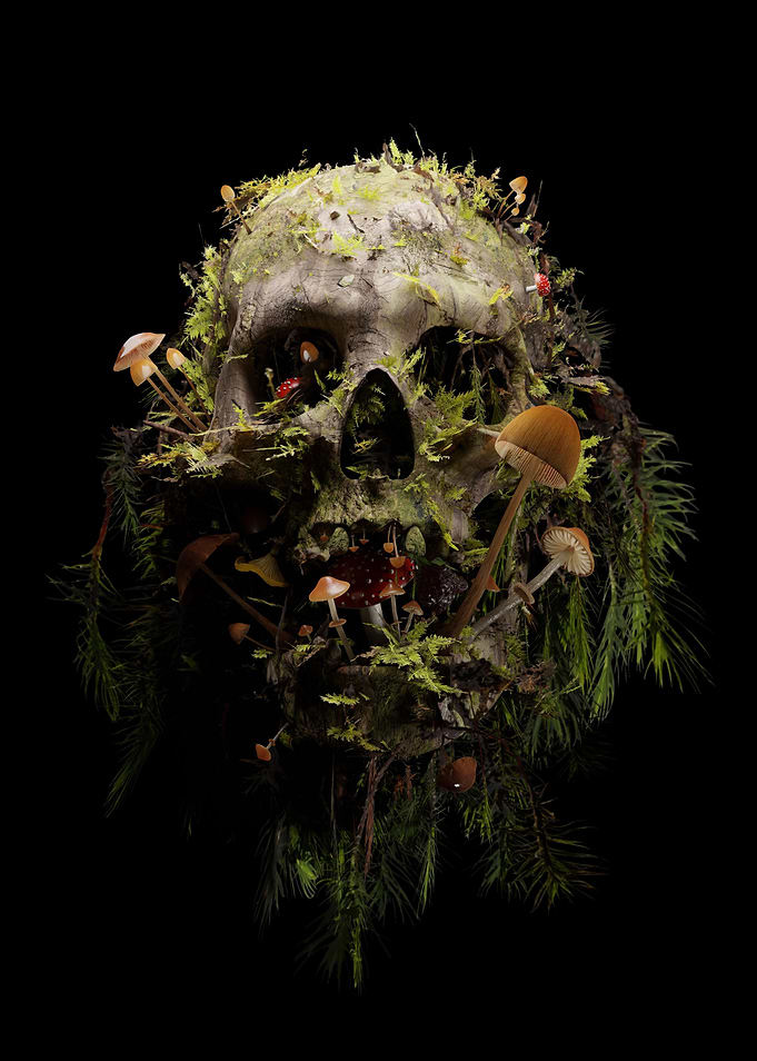 Mycophile
