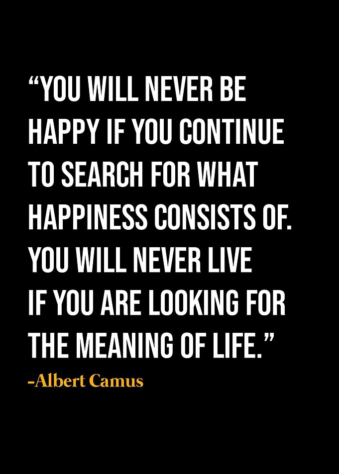 Albert Camus Quote