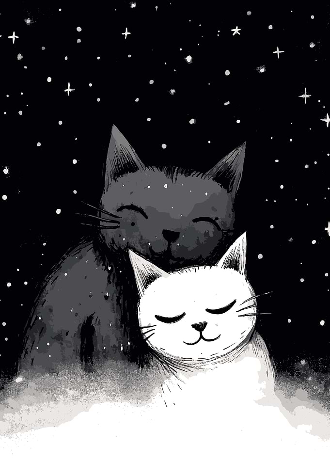 Black And White Cats