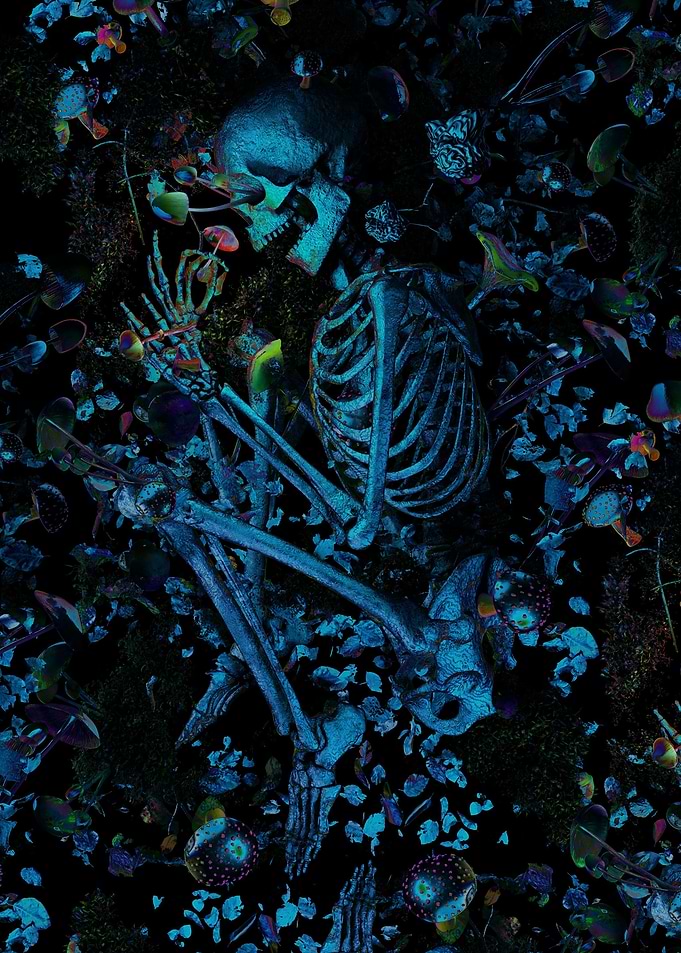 Beneath the Fungi