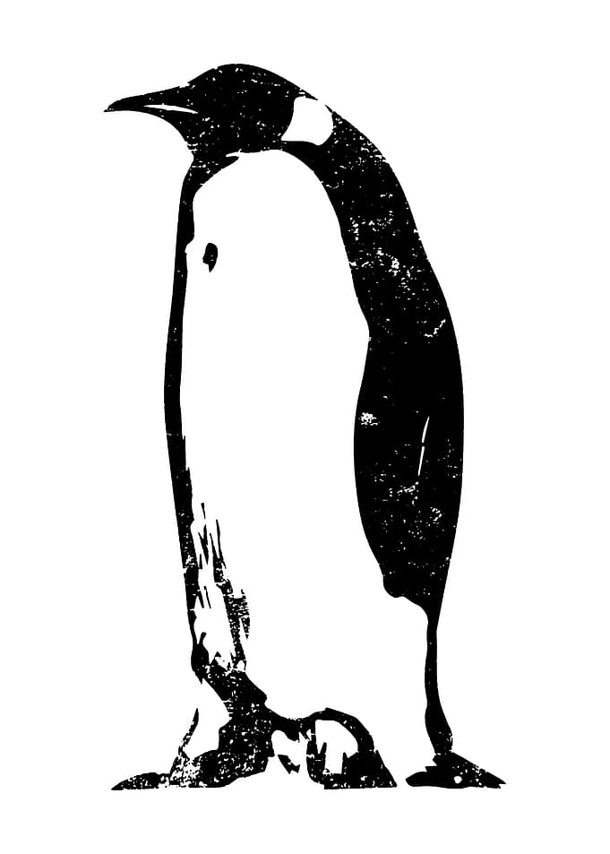 penguin