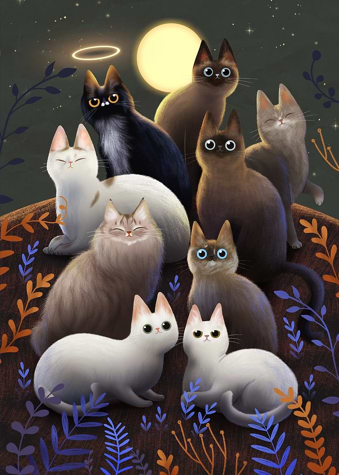 Cats