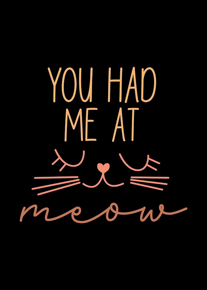 Cat ART funny