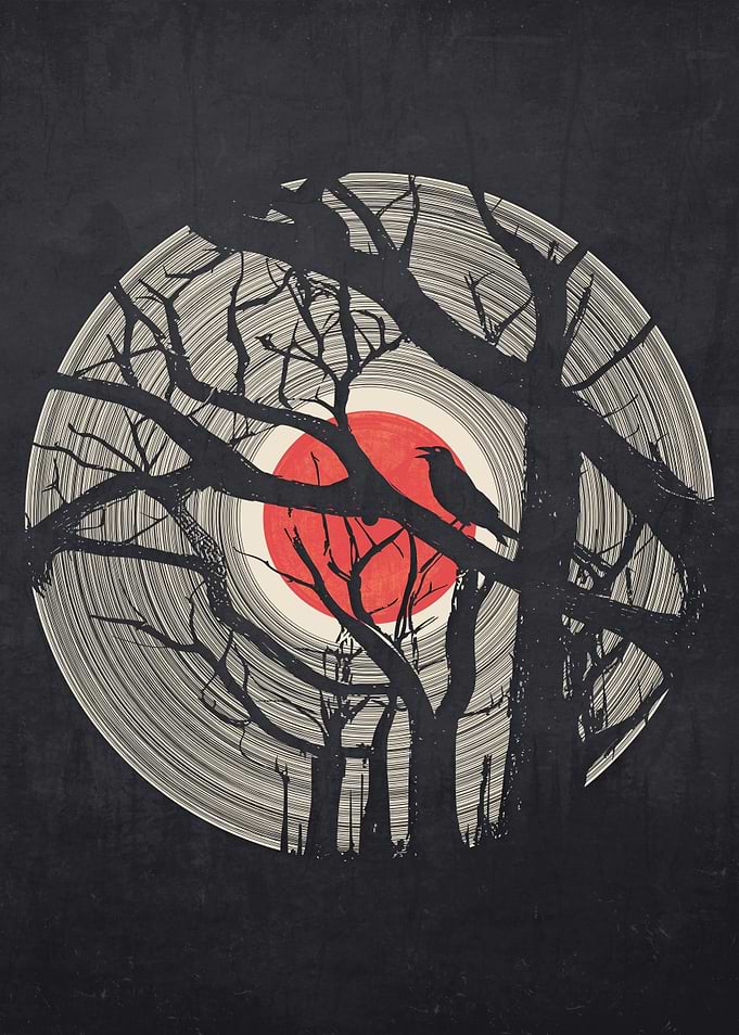 Forest Silence Music