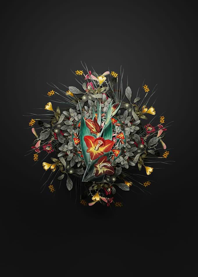 Parrot Gladiole Wreath