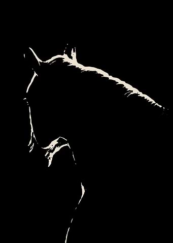 horse