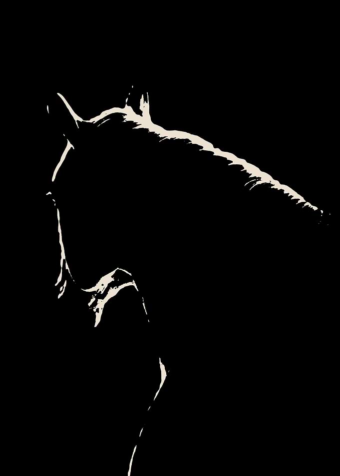 horse