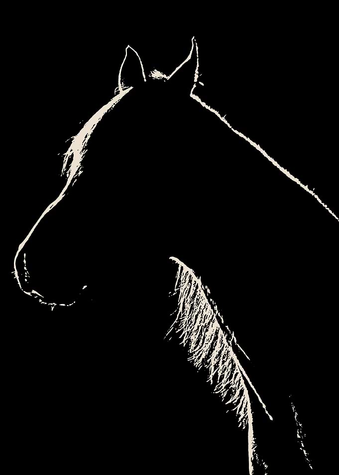 horse