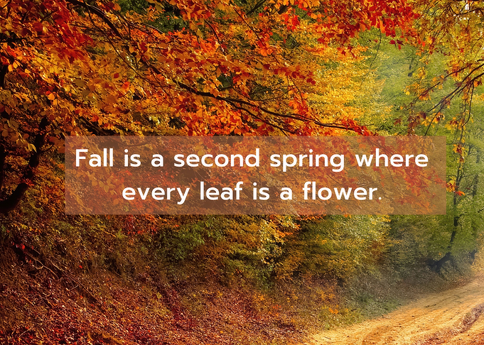 Fall inspirational quotes