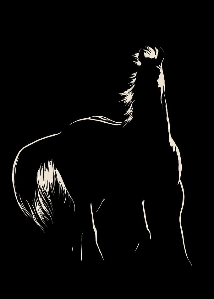 horse