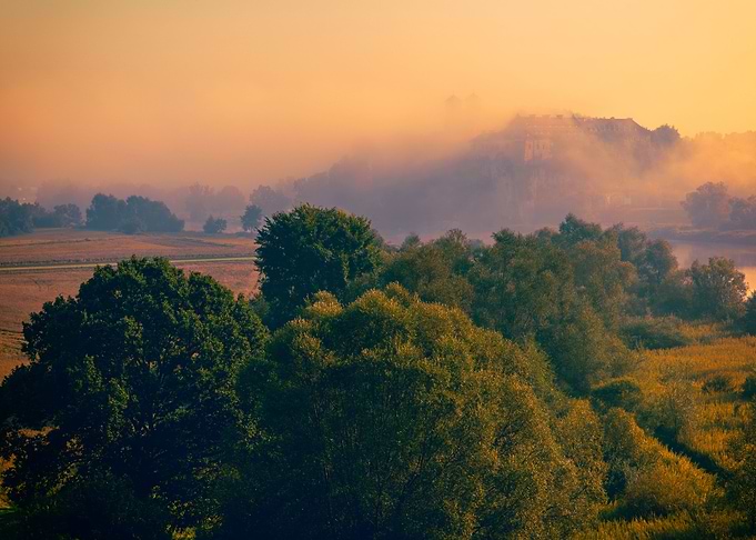 Autumn view misty sunrise
