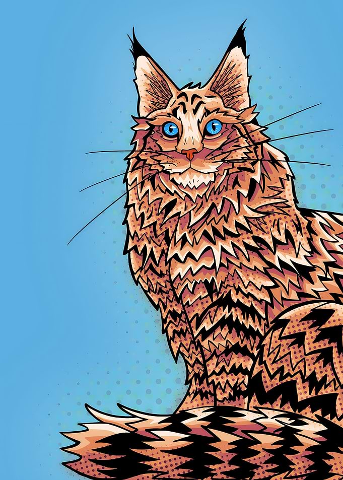 Gold maine coon portrait