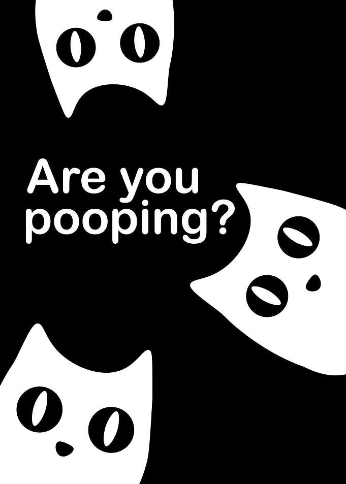 BLACK CAT ARE YOU POOPING