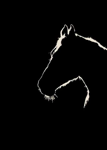 horse