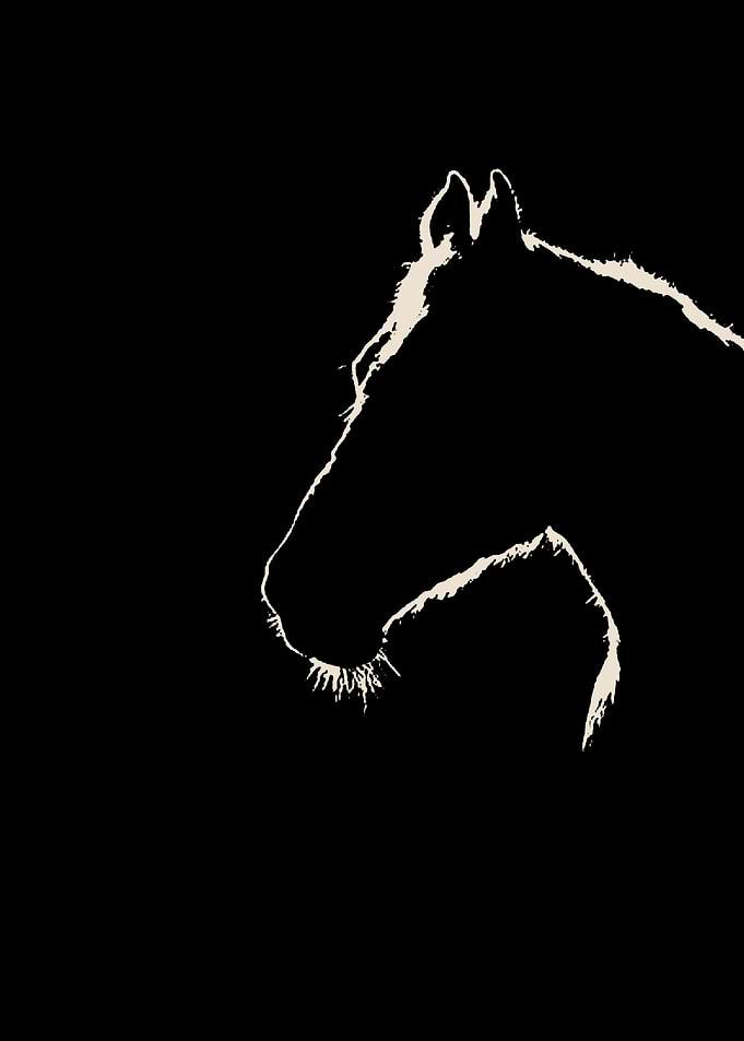 horse
