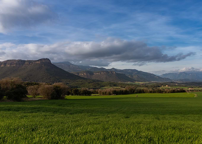 Beauty of Berga zone