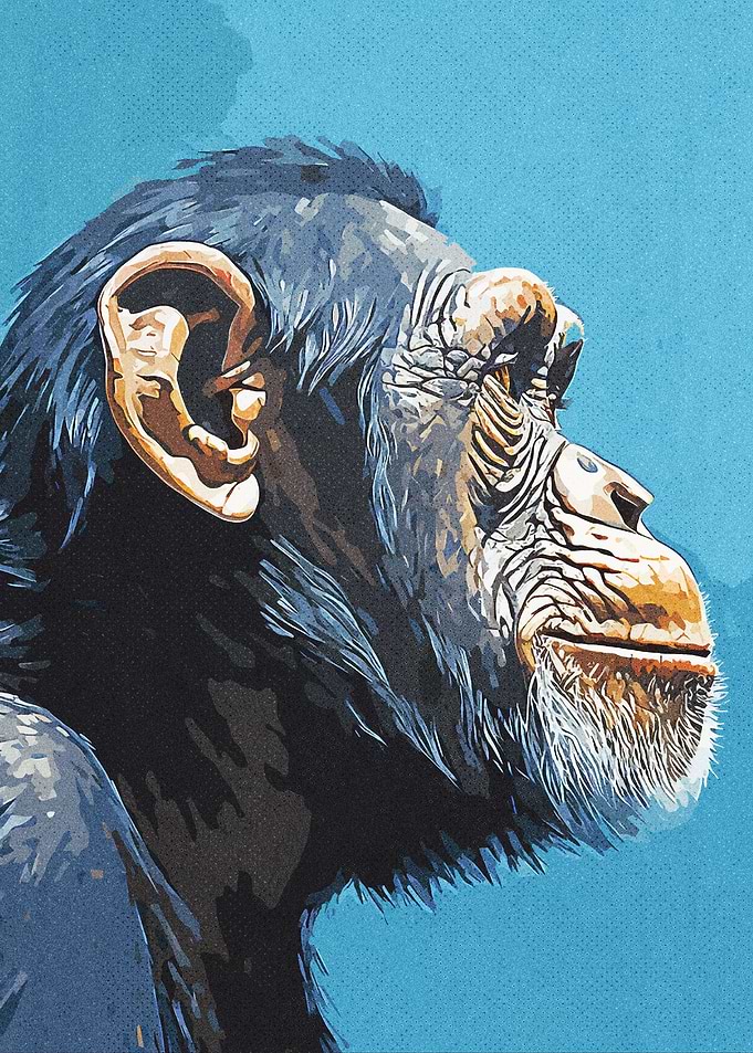 Vintage Gorillas