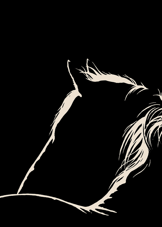 horse