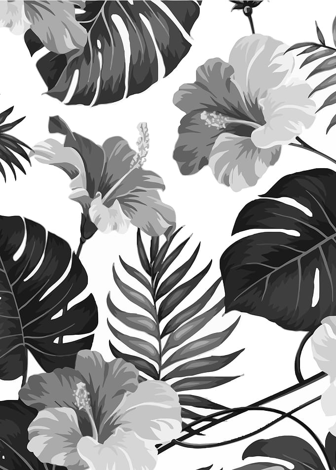 black and white flowers