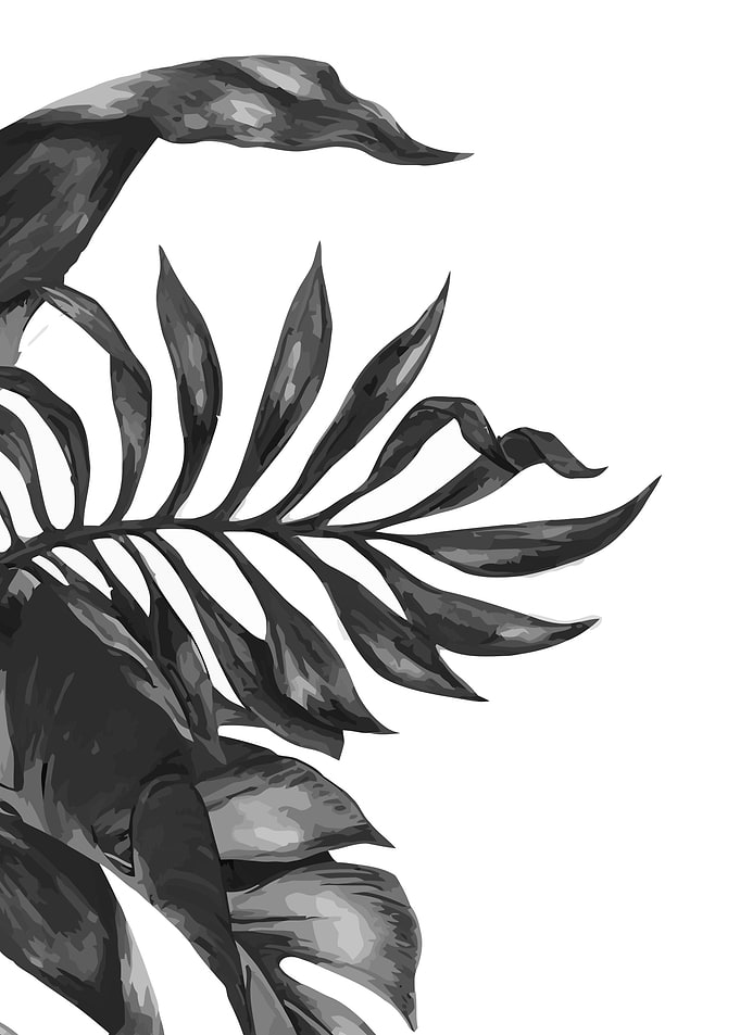 creeping plants