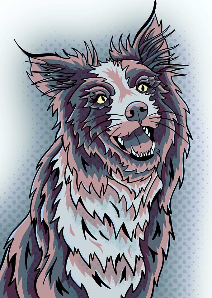 Light pink abstract collie