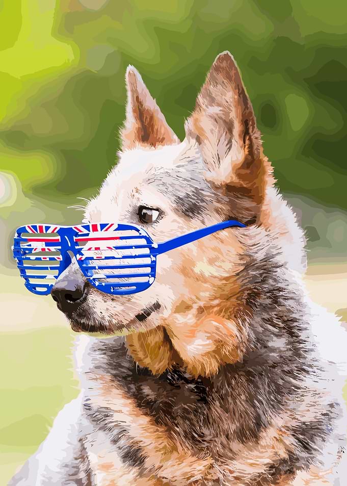 Australian Dog