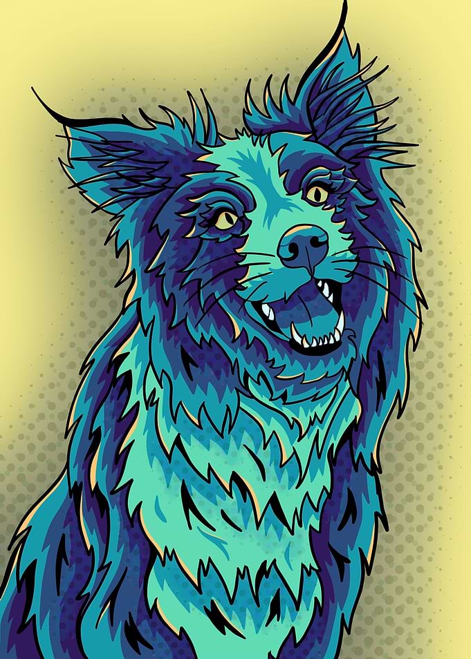Blue abstract collie