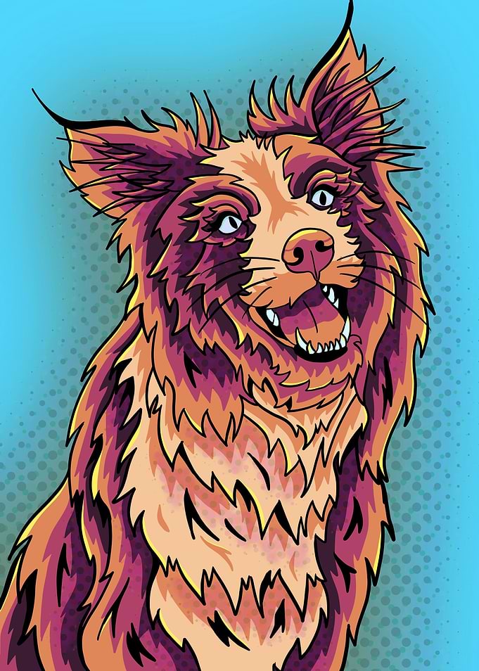 Gold abstract collie dog
