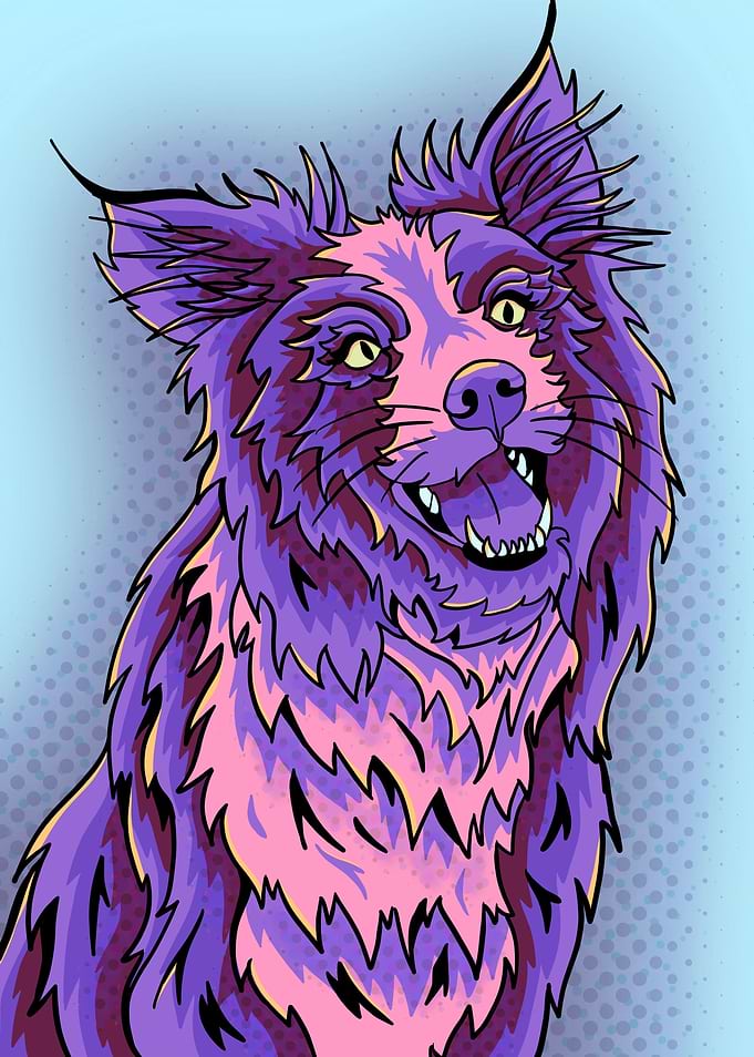 Purple abstract collie dog