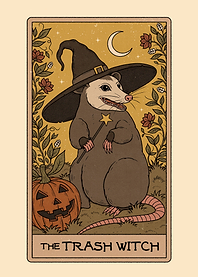 The Trash Witch Possum