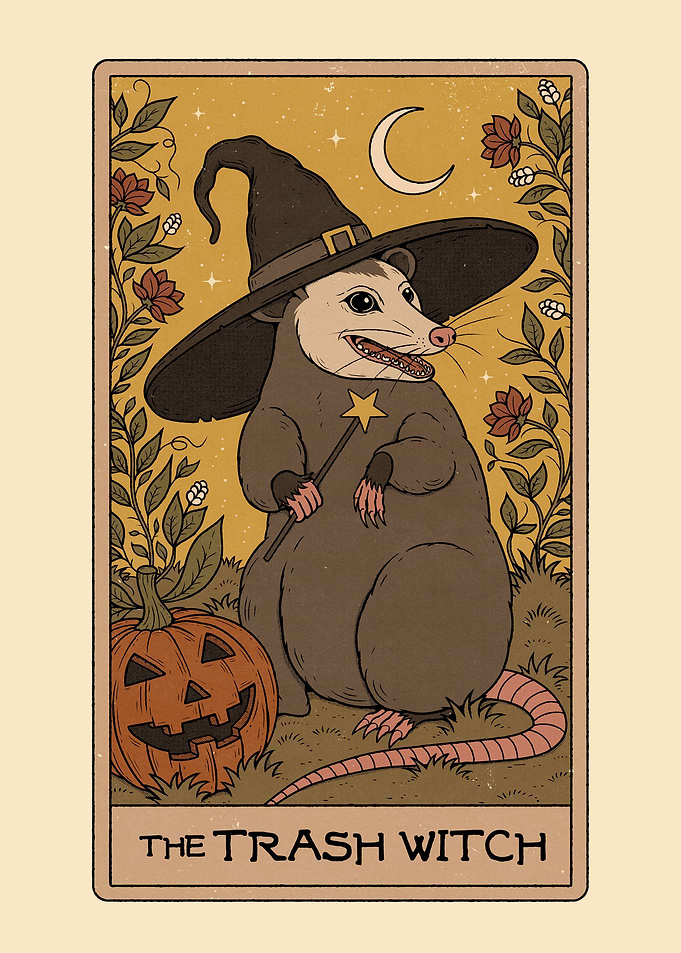 The Trash Witch Possum
