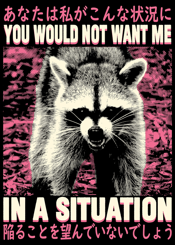 In a situation Raccoon