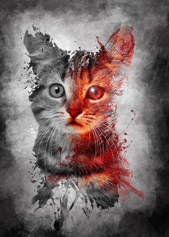 cat
