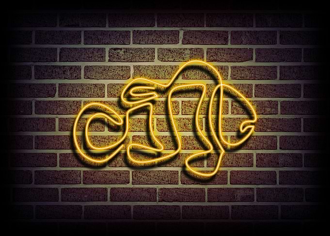 Clownfish Neon sign