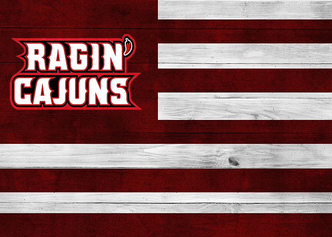 Louisiana Football Flag