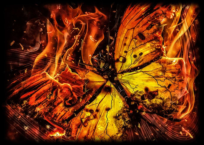 Fire Butterfly