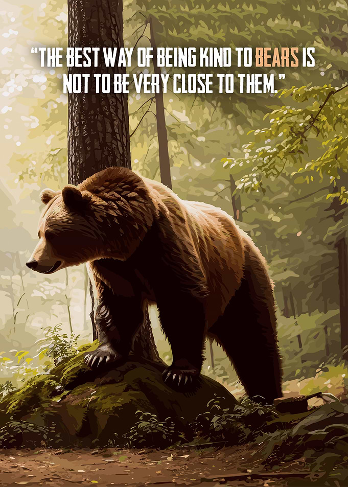 Bear Quotes