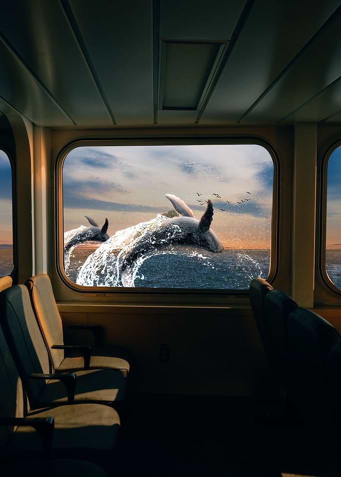 Jumping By The Window