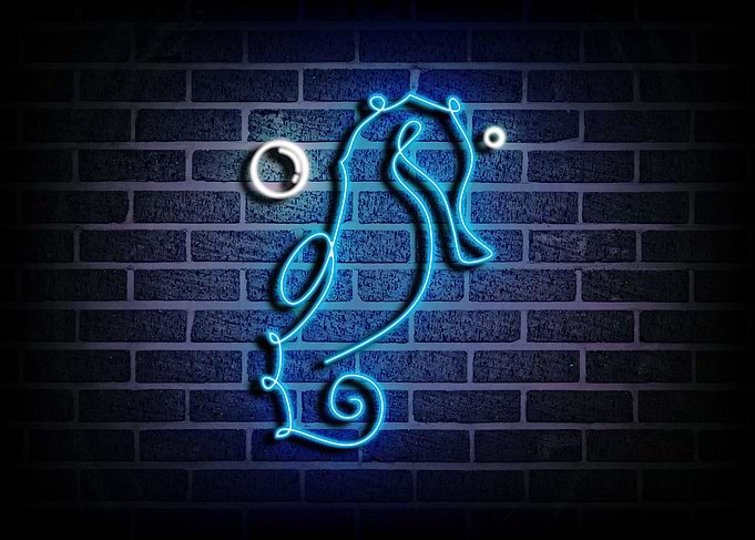 Seahorses Neon Sign