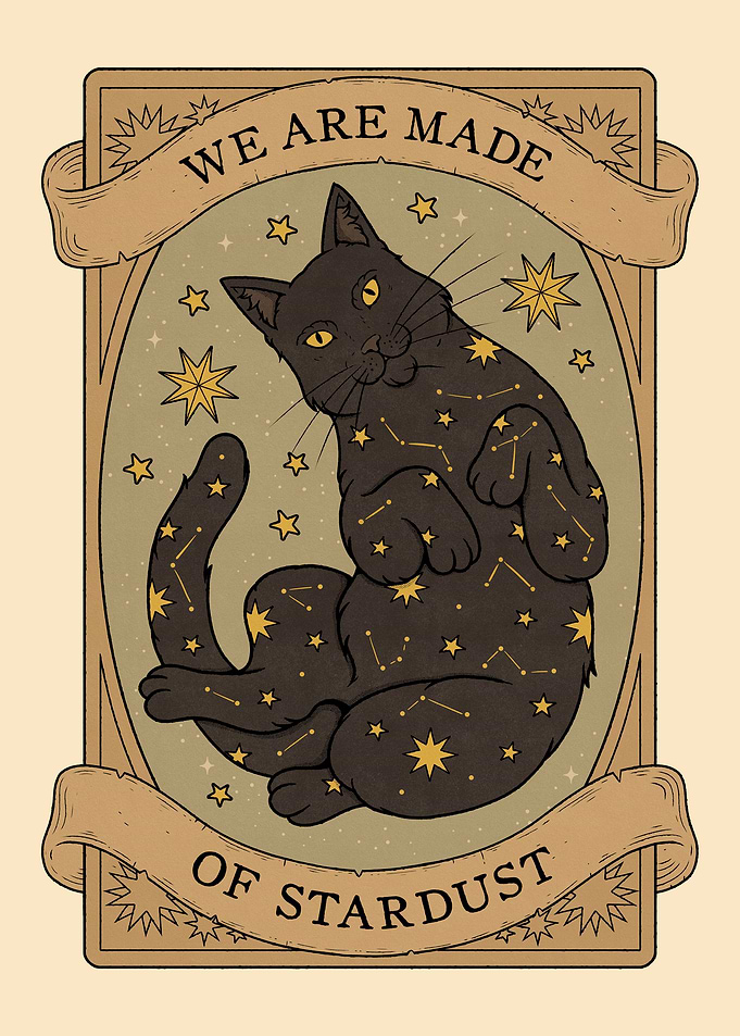 Stardust